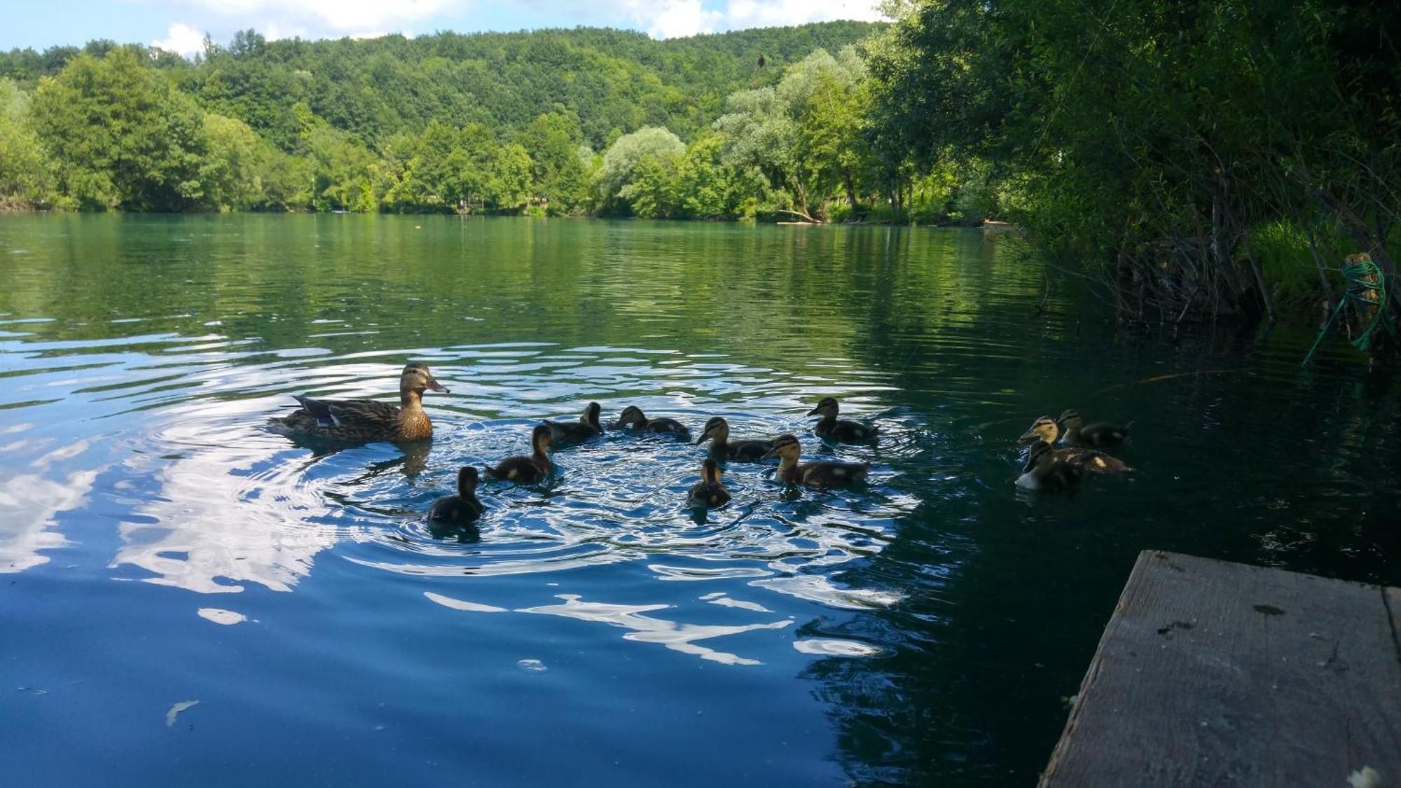 Fortuna Holiday Home Bihać Eksteriør bilde