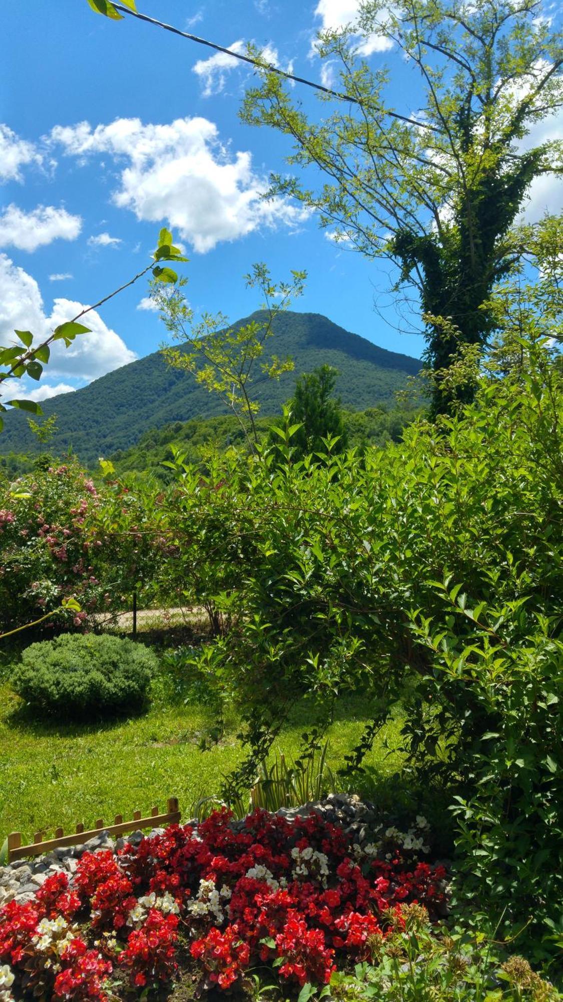 Fortuna Holiday Home Bihać Eksteriør bilde